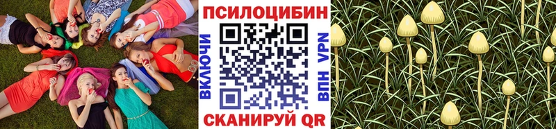 Галлюциногенные грибы Cubensis  blacksprut рабочий сайт  Майкоп 